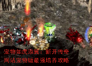 �����绢�������¿�������վ�������ǿ��������