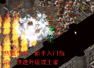 ��Ѫ���棺��������ָ�ϣ���������������