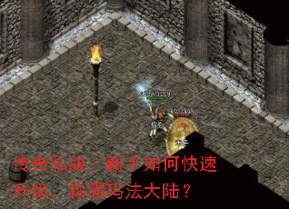 传奇私服:新手如何快速升级,称霸玛法大陆? 传奇私服:新手如何快速升级,称霸玛法大陆?