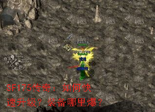 SF175���棺��ο���������װ�����ﱬ��