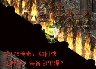 SF175���棺��ο���������װ�����ﱬ��
