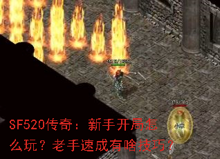 SF520���棺���ֿ�����ô�棿�����ٳ���ɶ���ɣ�