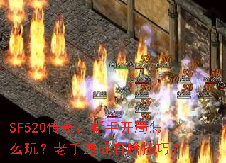 SF520���棺���ֿ�����ô�棿�����ٳ���ɶ���ɣ�
