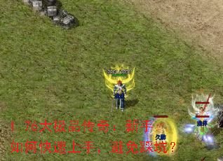 1.76��Ʒ���棺������ο������֣�����ȿӣ�