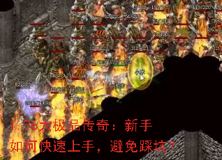 1.76��Ʒ���棺������ο������֣�����ȿӣ�