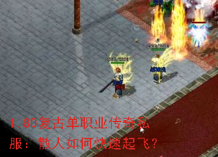1.80���ŵ�ְҵ����˽����ɢ����ο�����ɣ�
