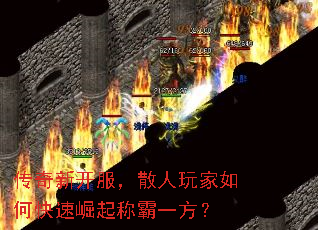 �����¿�����ɢ�������ο�������ư�һ����