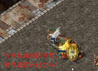传奇私服新区开荒,如何快速提升战力问? 传奇私服新区开荒,如何快速提升战力问?