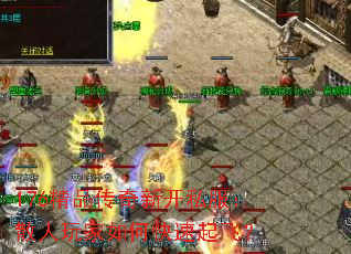 176��Ʒ�����¿�˽����ɢ�������ο�����ɣ�