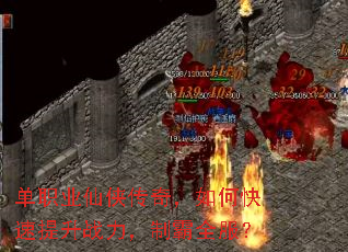��ְҵ�������棬��ο�������ս�����ư�ȫ����