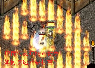 IP���淢������������ο��������򱦣�