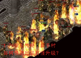 1.76��Ʒ���棺���ִ���ο��ٳ�װ���������