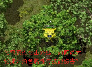����Ӣ�ۺϻ���ң�������������ɫ�����뼼���˺���