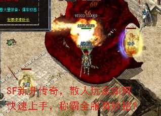 SF�¿����棬ɢ�������ο������֣��ư�ȫ�������У�
