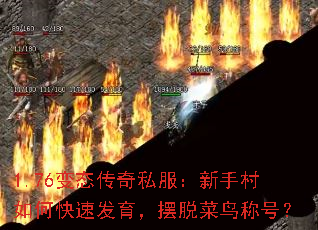 1.76��̬����˽�������ִ���ο��ٷ��������Ѳ���ƺţ�
