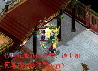 ����˽���������ģ���ʿ��ε���BOSS��ˢװ����