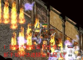 1.76复古合击金币传奇:新手如何快速赚金币起飞? 1.76复古合击金币传奇:新手如何快速赚金币起飞?