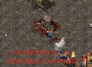 1.76��Ұ洫��˽����սʿְҵ���ܼӵ�����ѡ��