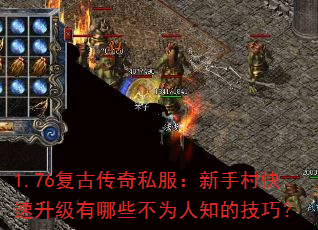 1.76���Ŵ���˽�������ִ������������Щ��Ϊ��֪�ļ��ɣ�