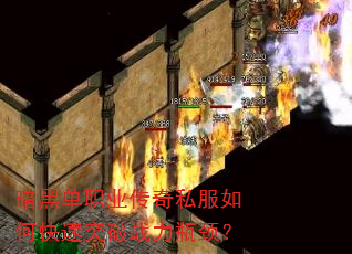 ���ڵ�ְҵ����˽����ο���ͻ��ս��ƿ����