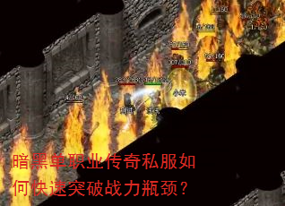 ���ڵ�ְҵ����˽����ο���ͻ��ս��ƿ����