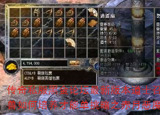 ����˽���ڽ���̳���°汾��ʿ�ٻ�������������ܵ�����֮���¶�ħ��