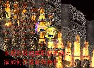 ���ڿ��ŵĵ�ְҵ���������δ�����ǿ��ɫ��