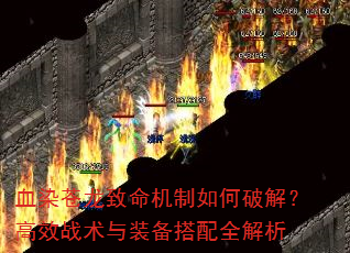 ѪȾ����������������ƽ⣿��Чս����װ������ȫ����