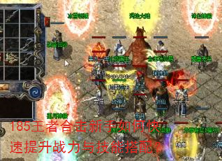 185���ߺϻ�������ο�������ս���뼼�ܴ��䣿