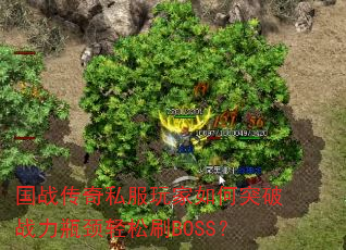 国战传奇私服玩家如何突破战力瓶颈轻松刷BOSS? 国战传奇私服玩家如何突破战力瓶颈轻松刷BOSS?