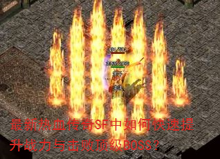 ������Ѫ����SF����ο�������ս������ܶ���BOSS��