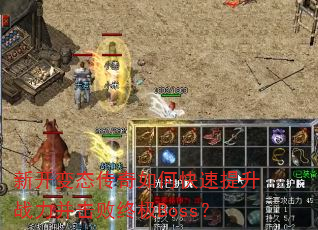 �¿���̬������ο�������ս���������ռ�Boss��