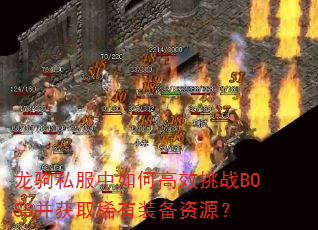 ����˽������θ�Ч��սBOSS����ȡϡ��װ����Դ��