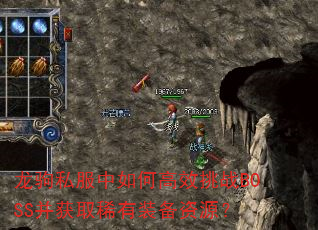 ����˽������θ�Ч��սBOSS����ȡϡ��װ����Դ��
