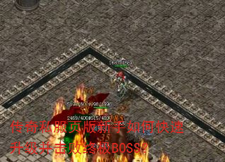 ����˽��ҳ��������ο��������������ռ�BOSS��