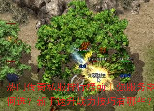 ���Ŵ���˽�����а�ǰʮǿ���������ѡ����������ս����������Щ��