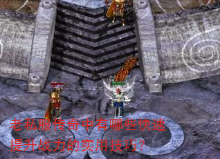 ��˽������������Щ��������ս����ʵ�ü��ɣ�