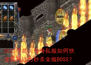 2025�������˽����ο�������ս����ɱȫ��BOSS��