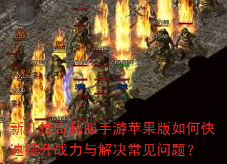 �¿�����˽������ƻ������ο�������ս�������������⣿