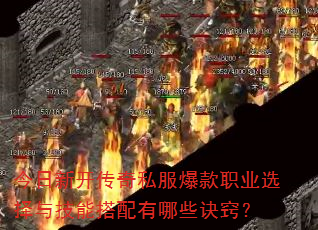 �����¿�����˽������ְҵѡ���뼼�ܴ�������Щ���ϣ�