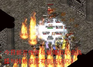 �����¿�����˽������ְҵѡ���뼼�ܴ�������Щ���ϣ�