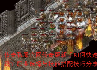 ����˽�����������������ο���������ְҵѡ���뼼�ܴ��似�ɷ���