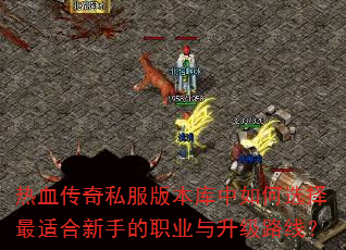 ��Ѫ����˽���汾�������ѡ�����ʺ����ֵ�ְҵ������·�ߣ�