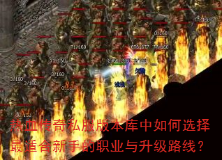 ��Ѫ����˽���汾�������ѡ�����ʺ����ֵ�ְҵ������·�ߣ�