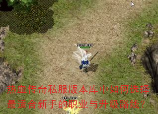 ��Ѫ����˽���汾�������ѡ�����ʺ����ֵ�ְҵ������·�ߣ�