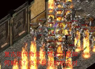 ���Ű洫����ӳ���������ν�������ֽ�������Ӧ��
