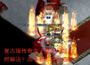 ���Ű洫����ӳ���������ν�������ֽ�������Ӧ��
