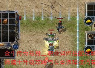 ��ţ����˽����ְҵ��δ��似�ܣ�սʿ��ʦ��ʿ����������װ��ѡ��������Щ��