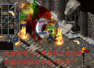 ����˽���˰˲����¿�����ο��ٻ�ȡ����װ���뾭�飿