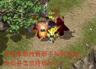 ���ⵥְ����������ο��������������ռ�Boss��